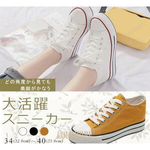 Xj[J[ fB[X V[Y fjXj[J[ r ₷ n nCq[ X|[c _XV[Y  [XAbvV[Y Cq[ ubN