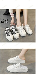 Xj[J[ fB[X JJgȂ X|[c Xb| nCq[ V[Y fjXj[J[ r ₷ n [XAbvV[Y y q[F5CM