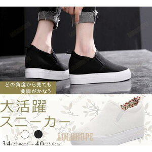 Xj[J[ fB[X nCq[ X|[c _XV[Y  Xb| V[Y fjXj[J[ r ₷ n q[F6CM