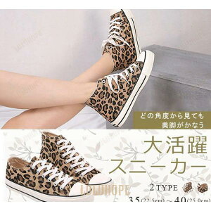 Xj[J[ fB[X V[Y ₷ [Jbg nCJbg y [XAvV[Y ҂ݏグ LoX qE r X|[c  