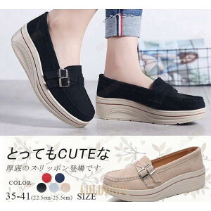 Xb| fB[X [t@[ Vv JV  XG[h ʊw ʋ r ₷ ₷ tbg JWA 5F 傫TCY