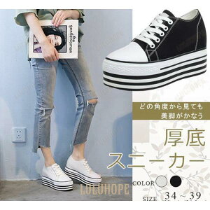 Xj[J[ fB[X LoX  Cq[ ҂ݏグ [XAbv ₷ V[Y ʊw ʋ r JWA    傫TCY