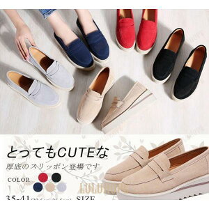 Xb| fB[X [t@[ Vv JV  XG[h ʊw ʋ r ₷ ₷ tbg JWA S5F 傫TCY