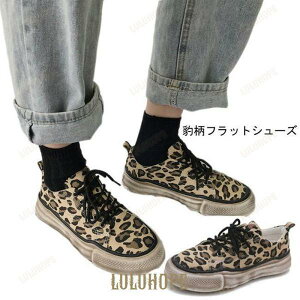 Xj[J[ ^ fB[X tbgV[Y qE ؂ V[Y fUC  C y` JWAV[Y  