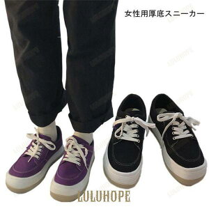 Xj[J[ fB[X tbgV[Y y` Xj[J[  V[Y   RtH[g  X|[cV[Y JWA