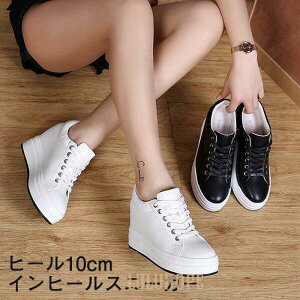Cq[ Xj[J[ q[10cm Xb| S\[ PU ҂ݏグ  C TCY 傫TCY [t@[ fB[X zCg ubN