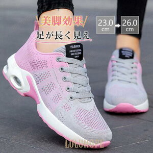  Xj[J[ fB[X D^ wlC _CGbg V[Y Ȃ y EH[LO X|[c bV ₷ WMO ^C