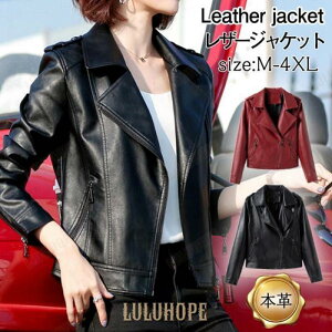 U[WPbg fB[X {v vW C_[XWPbg H~ oCNEFA AE^[ u] h h  bN ʋ 