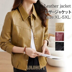 U[WPbg fB[X C_[XWPbg vW AE^[ u] h h    oCN H~  ؍