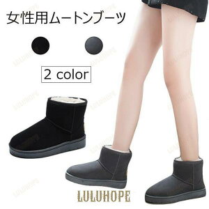 [gu[c fB[X Xm[u[c V[gu[c {AV[Y ؂ {Au[c g  V[Y N ~