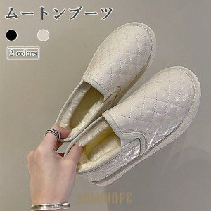 [gV[Y fB[X {A [t@[ Xm[V[Y Xb| ~ [gu[c tbgV[Y N Xm[u[c