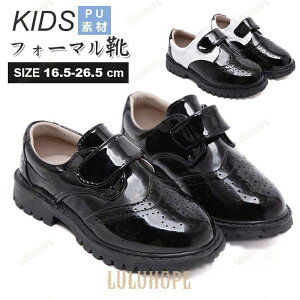 q tH[} C j̎q  LbY X[c V[Yw ǂ  Xj[J[ \ w   󌱑Ǝ 