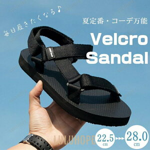 T_ xNT_  X|T_ y xN X|[c Y fB[X jp tbg ₷ ₷ 芴 ʋC  lC ʋ s r[` ][g 