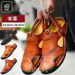 T_ Y r[`T_ {v X|[cT_ RtH[g V[Y ₷  JWA amp  傫TCY