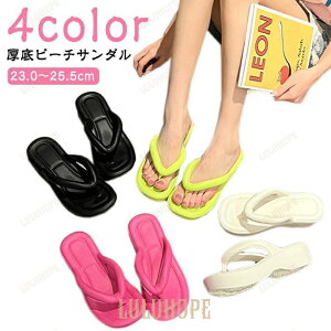 r[`T_ fB[X  n y gOT_ ₷ r T_ T_ y 5cmq[  _炩 킢 