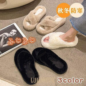 Xbp fB[X [V[Y t@[T_ ؂ qp ӂӂ    ₦΍ l  