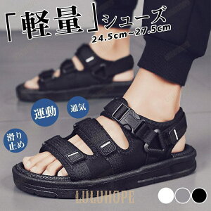 T_ Y r[`T_ X|[cT_ ʋC y ~  amp ^ j C C  ނ EH[^[V[Y