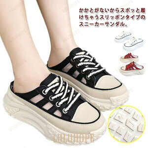 Xj[J[ ~[T_ ƂȂ Xj[J[T_ bV C 5cmq[  Xj[J[T_ X|[cT_ fB[X 