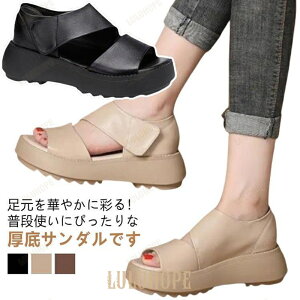 T_ fB[X T_ Xj[J[ Od L ʋC ₷ X|[cT_ gAbv y b r ɂ JW