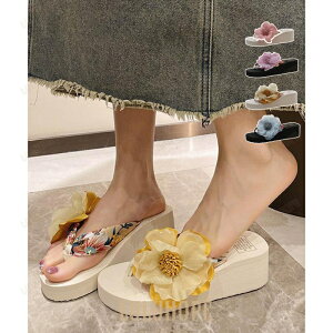 r[`T_ ԏ gOT_  fB[X y ₷  r ʋC NbV ~ߕt JWA gh t@bV  ėp sp f