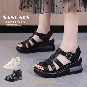 OJT_  fB[X T_ 2024V  y NbV ɂ tH[} JWA ][g tF~j Vv  X^CAbv Ey  k