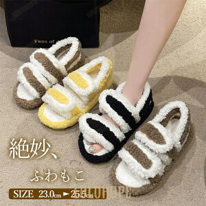 T_ t@[T_ fB[X  [V[Y Xbp t@[T V[Y C g H~ ӂӂ   ₦΍ 