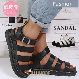 T_ fB[X  xg r[`T_  ₷ EGbW\[ 傫TCY t[ fj ɂ V[Y JWA ʋΒʊw