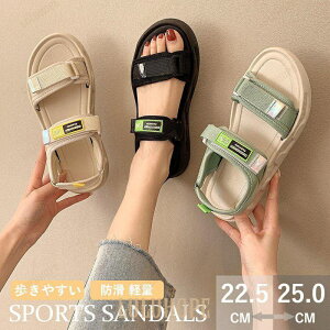 X|[cT_ fB[X Xj[J[T_ T_ ₷ ɂȂ _炩 h JWA   xN AEghA