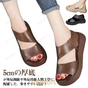 gȌT_ T_ fB[X Od  T_ X|[cT_ EH[LO K ʋC b  Xj[J[T_