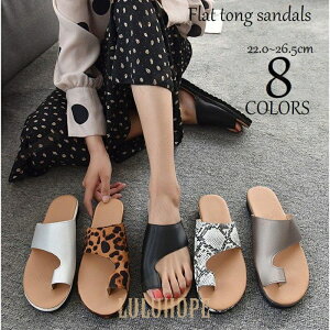 gOT_ tbgT_ JbgIt fB[X V[Y C ؂ t n qE pC\ ewxg JWA ][g 