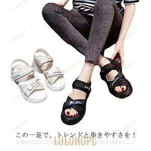  T_  fB[X ₷ Vv X|[cT_ X|T Xbp  xg  傫TCY   