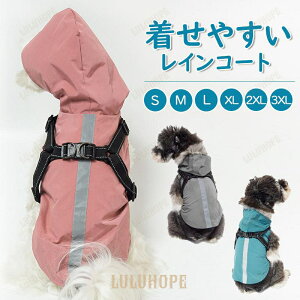 CR[g ybgpCR[g CEFA ^ ^  t[ht [h ˃e[vt  L hbOEFA LbgEFAh