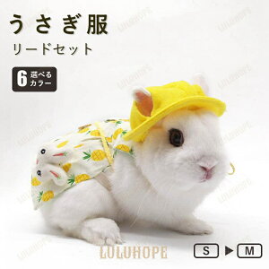 p ybg [hZbg   ETM U o DJt LOBe  ȒPE  킢  LOBe }WbNe[v