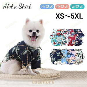 p.Lp tČp AnVc ybg hbNEGA ݕt nC ʋCf mg[ / pCAbv ^.^.^Ή Kp ybgpi .nCsp