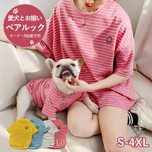 Ǝp eqĕ yAbN .lpPi hbNEGA / ybg ʋCf L.^.^Ή mg[ / t[ ΍ o|p TCY