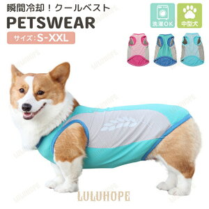 p N[xXg MǑ΍ Ђ ĕ uԗp  ăoe ΍ U o O 킢 uԗp@\ő₩ɗ ăoeEMǗ\hɍœK UoOŒp