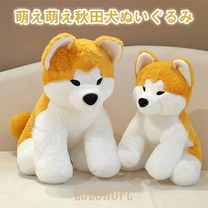 ʂ݁@ʁ@Ck@ @ Hc@A@ӂӂ @  @CeA@ @ 킢 @aMtg