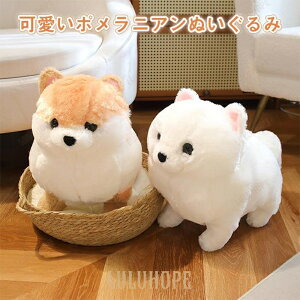 ʂ݁@ʁ@Ck@ @ |jA@A@ӂӂ @@CeA @  @ 킢@aMtg