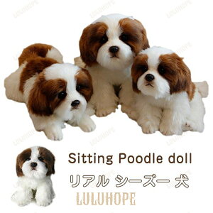 ʂ  V[Y[ A CeA Aj} NX}X av[g V[Y[^A ӂӂfސG_炩 Aj}ʂ݂ƂăCeAɓ 