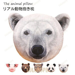 @NbV@zc@A@CeAG݁@j@v[g40cm