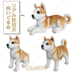 ʂ݁@ʁ@Ck@@Hc@A@@킢@ӂӂ @CeA@j@av[g25cm