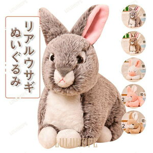 ʂ݁@@ETM@킢@@YQ@CeAG݁@j@v[g