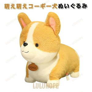 ʂ݁@ʁ@Ck@R[M[@A @킢@CeAG݁@X@Be@RNV@ j@v[g