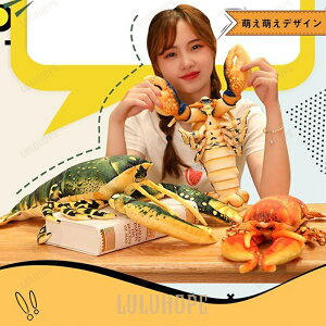 ʂ݁@с@uX^[@A@CeAG݁@G݁@X@j@v[g50cm