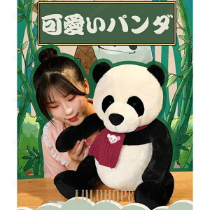 ʂ݁@p_@VV@킢@@CeA@j@v[g35cm