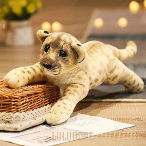 ʂ qE CI Ƃ A CeAG ii 39cm ^A 39cm TCYzu₷ _炩fސGǂ CeAG݌ii 󂵂₷ϋvL 