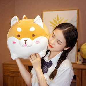 ʂ Č Ck    YQ CeA 50cm Č^炵 50cm TCY₷ ӂӂfސG_炩 YQp CeAɓK 󂵂₷