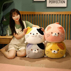 ʂ ˂ lR 킢 ӂӂ  CeA av[g 50cm ˂^炵 50cm TCY₷ fނӂӂGǂ CeA aMtgɐlC
