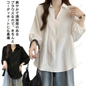 `jbN Vc 傫TCY Vv Vc H fB[X Vc   uEX ꂢ VlbN    n