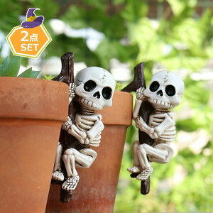 XJu W 2_Zbg  [ nEB  鐓 KCRc A K[fI[ig ~j`AtBMA XJI[ig  nEBp[eB[ 